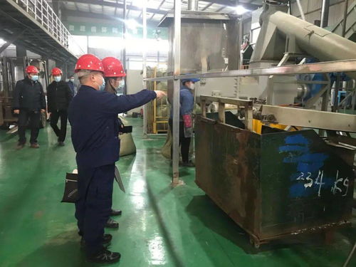 节日中的光学器材