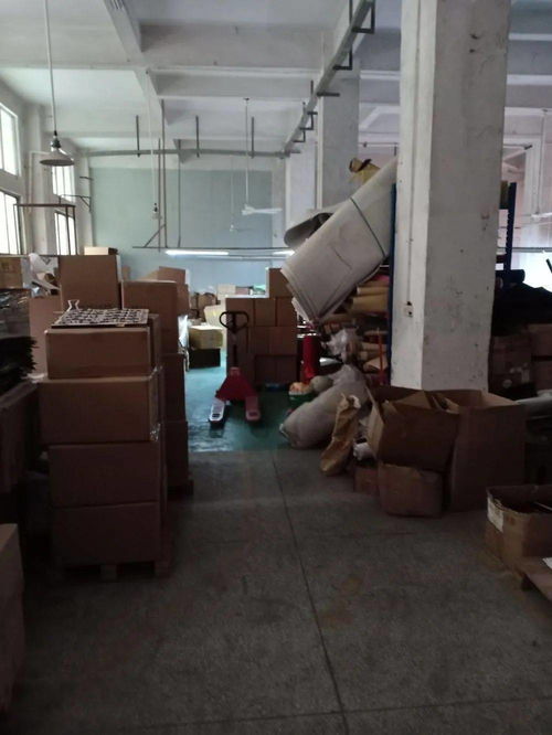 东莞一物业公司因违规被重罚16000元，光学器材乱象引关注