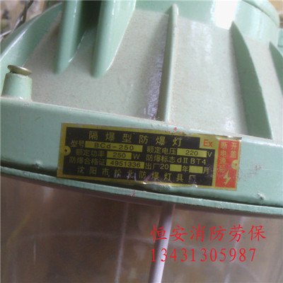 安佳防爆应急灯与相关消防器材全解析